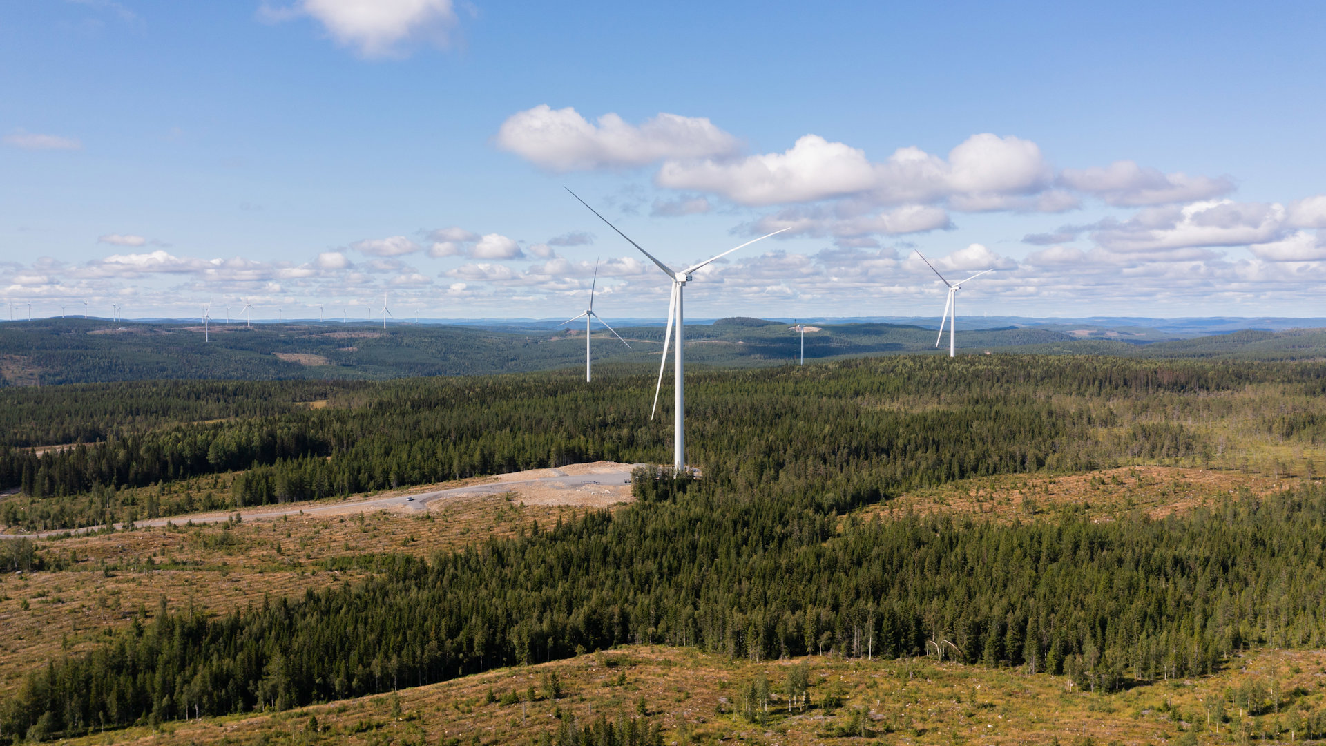 a group of wind turbines in a field