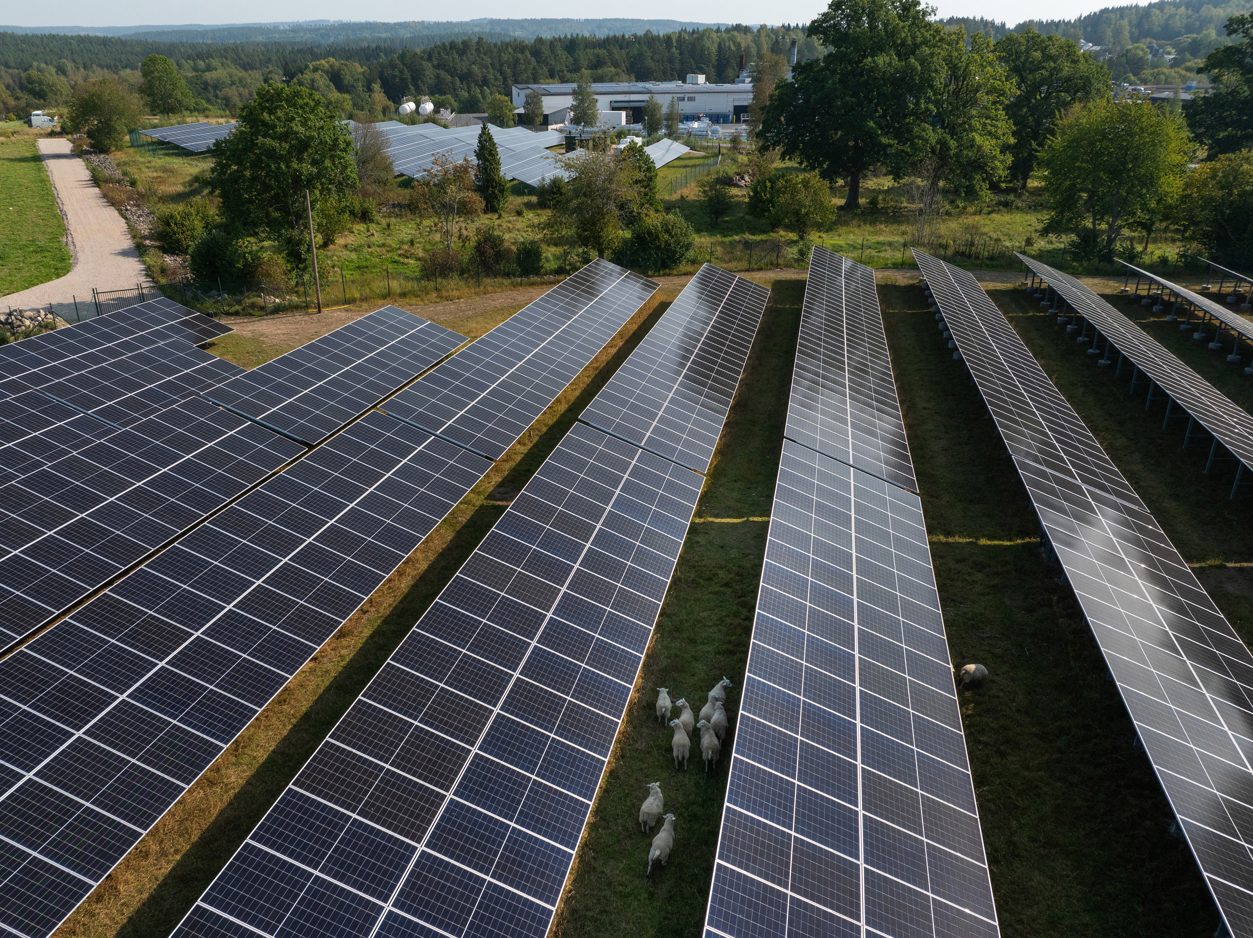 a group of solar panels in a field