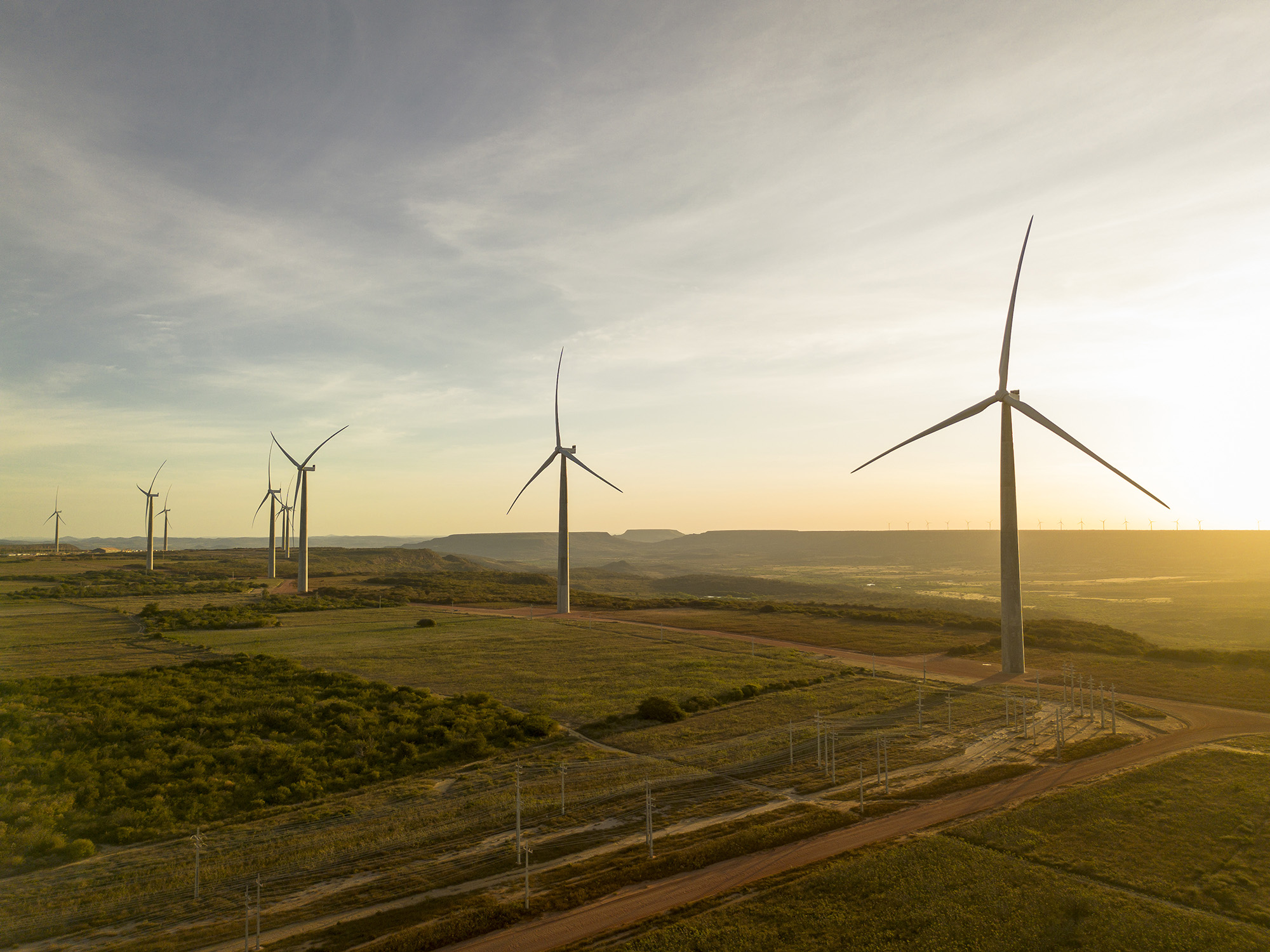 a group of wind turbines in a field