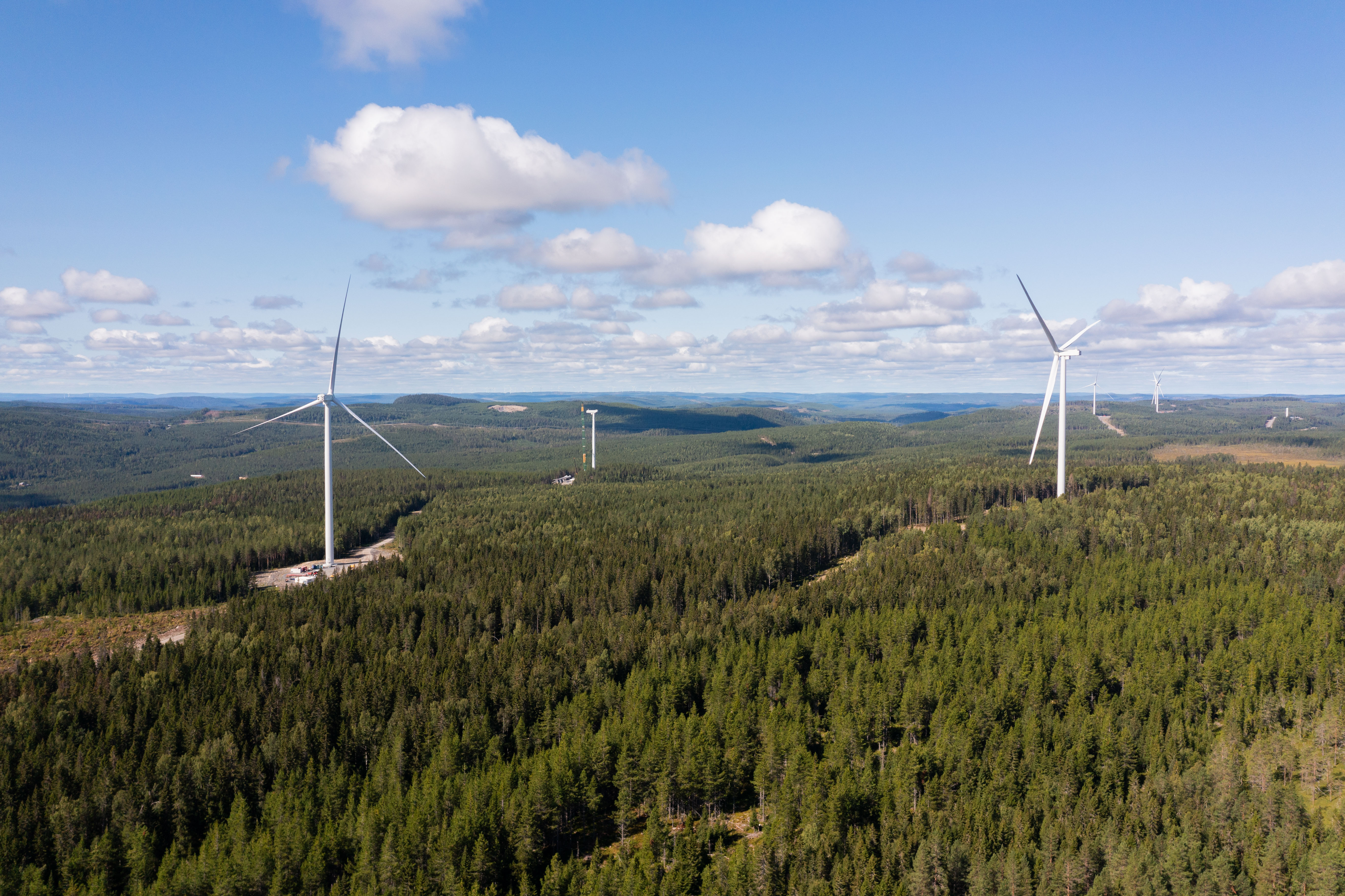 a group of wind turbines in a forest